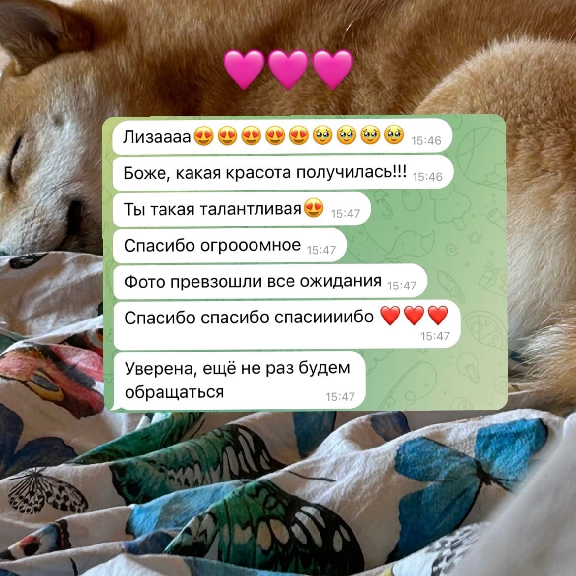 Отзыв — отзыв №07 от клиент